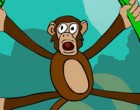 Juego Jungle Monkey