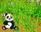 Juego Panda Wild Farm
